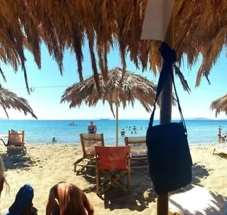 Stamatis * Agii Apostoli (Monemvasia)