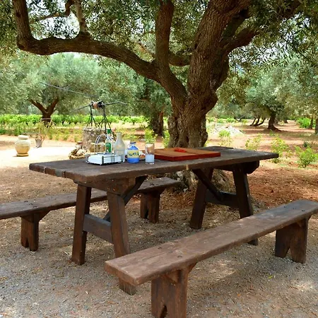 Stamatis Agii Apostoli (Monemvasia)